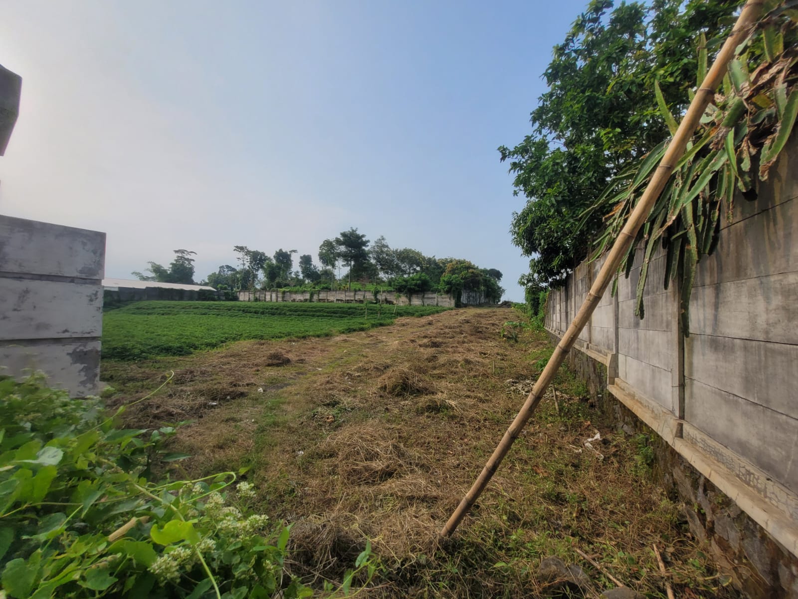 AGUNAN LELANG TANAH KOSONG - Thumbnail 5