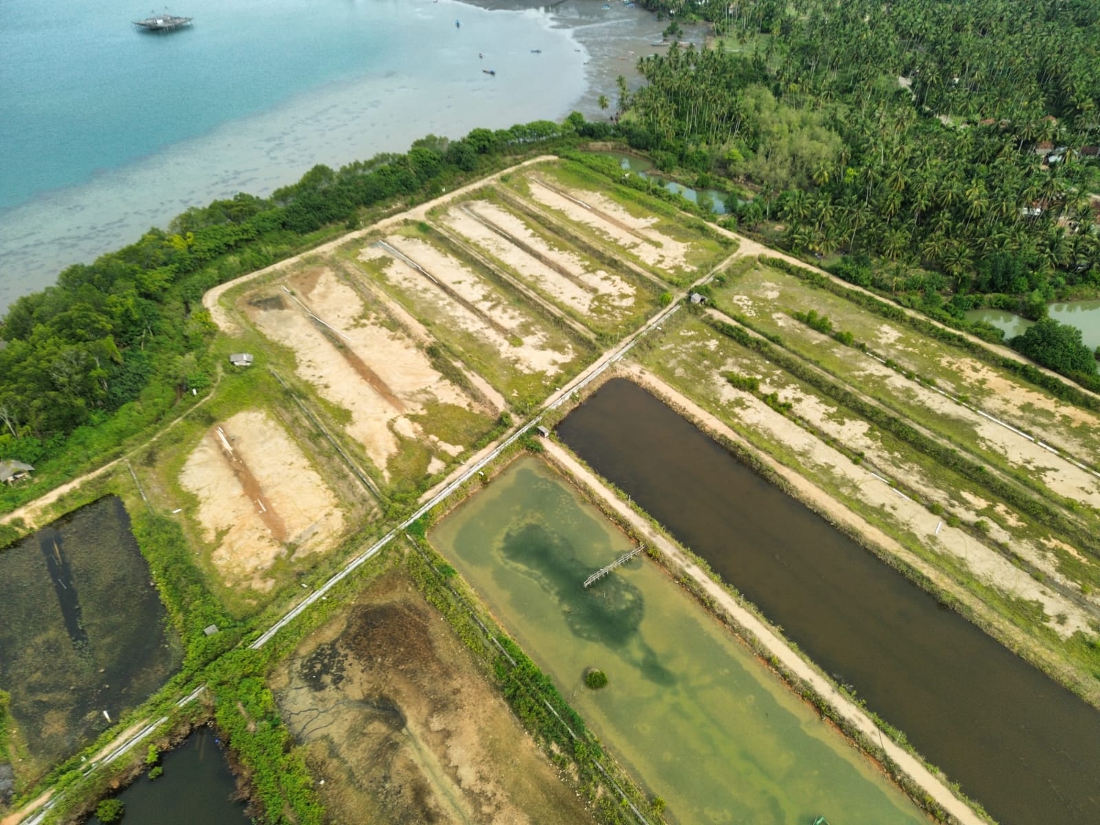 SEGERA LELANG TANAH - Thumbnail 4