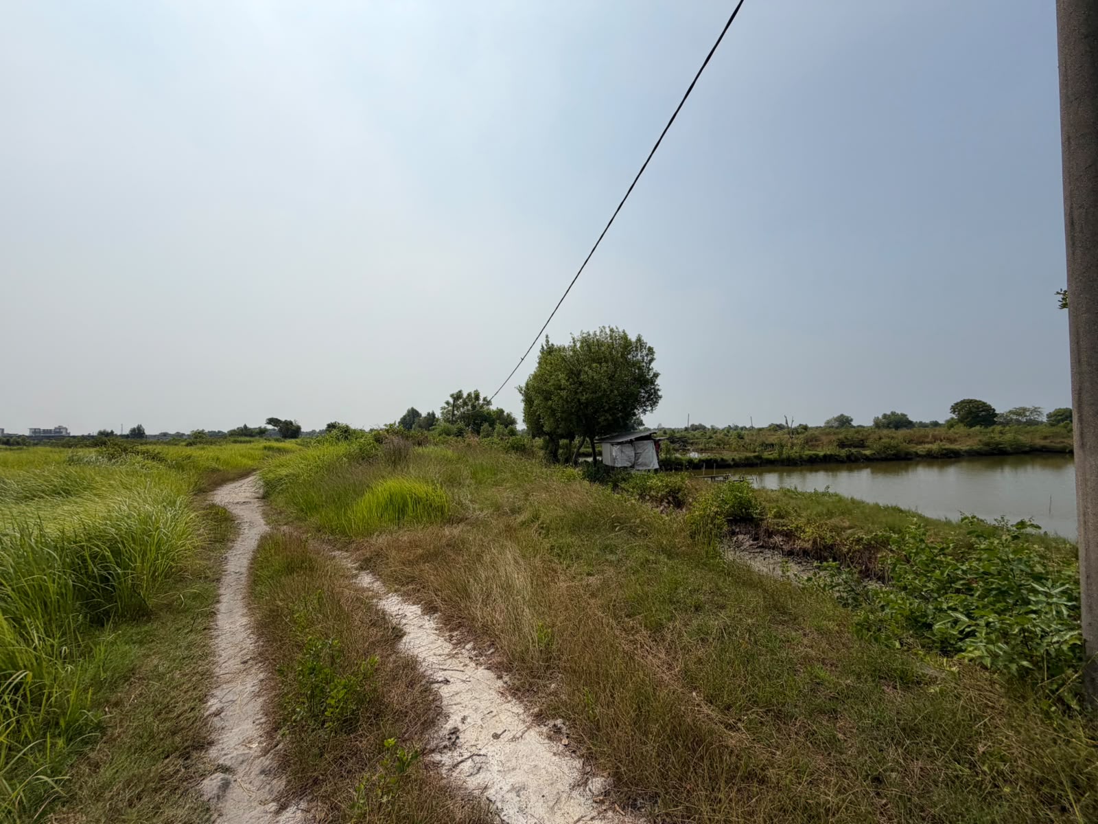 SEGERA LELANG TANAH KOSONG LUAS - Thumbnail 2