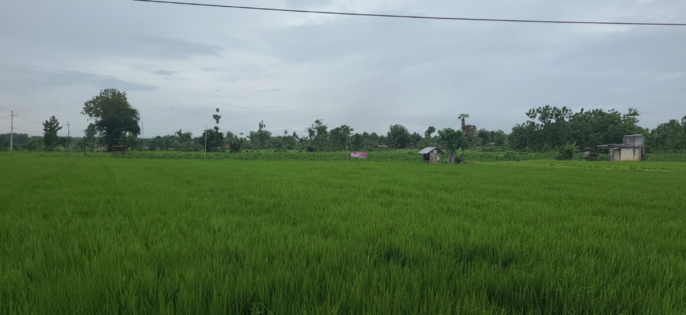 AGUNAN LELANG TANAH KOSONG