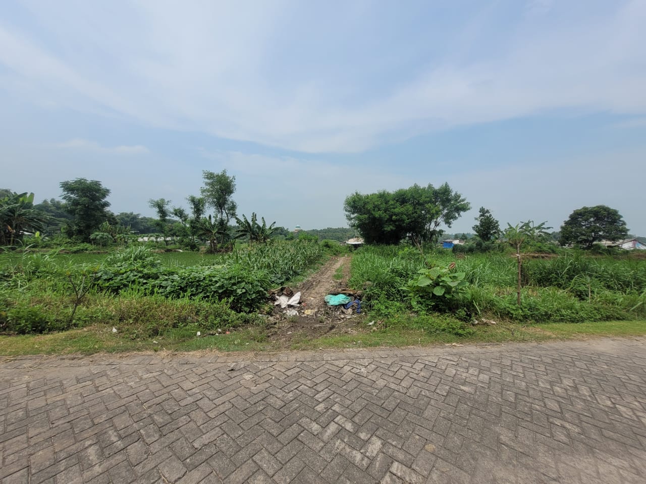 SEGERA LELANG TANAH KOSONG - Thumbnail 3