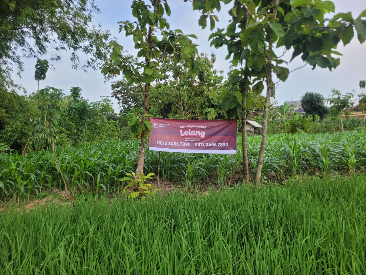 AGUNAN LELANG TANAH KOSONG