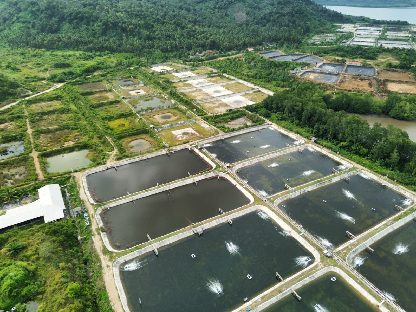 SEGERA LELANG TANAH - Thumbnail 5