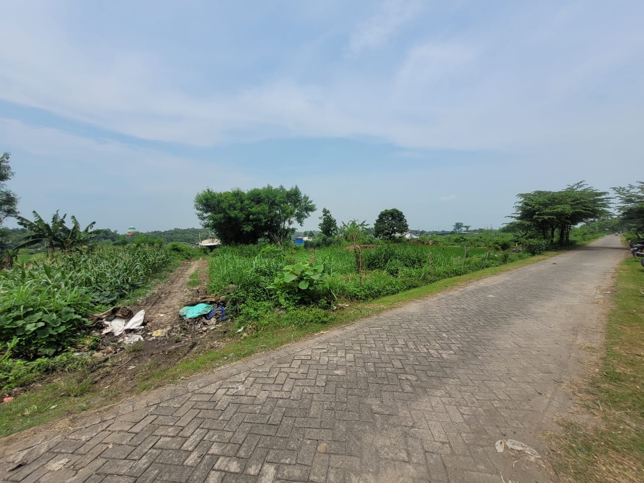 SEGERA LELANG TANAH KOSONG