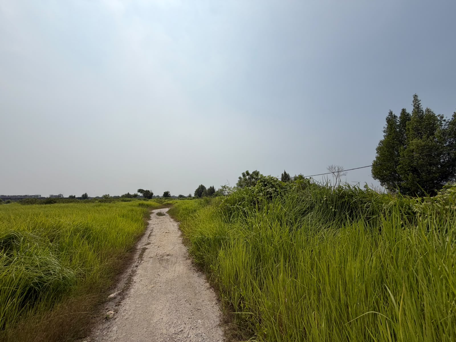 SEGERA LELANG TANAH KOSONG LUAS - Thumbnail 3