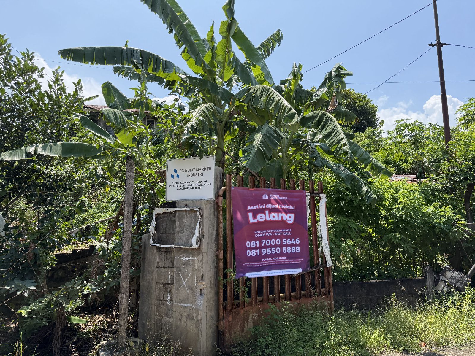 AGUNAN LELANG TANAH