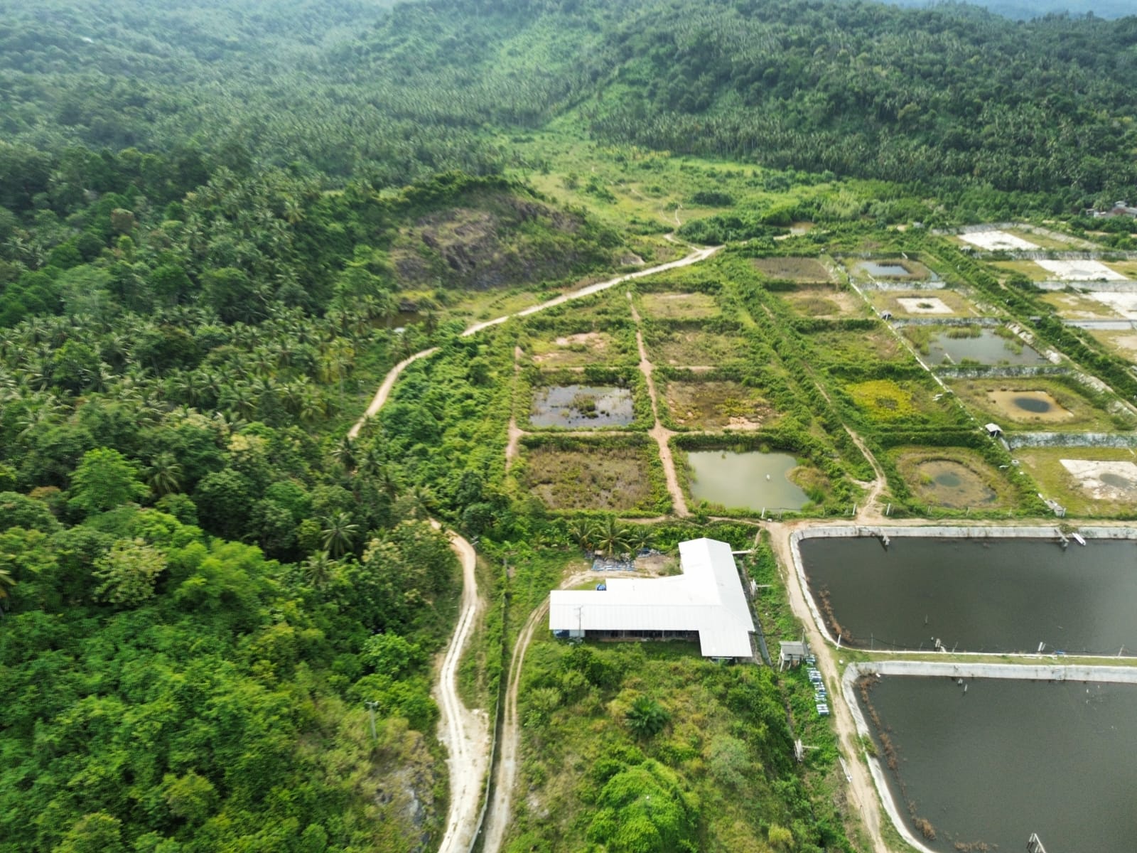 SEGERA LELANG TANAH - Thumbnail 3