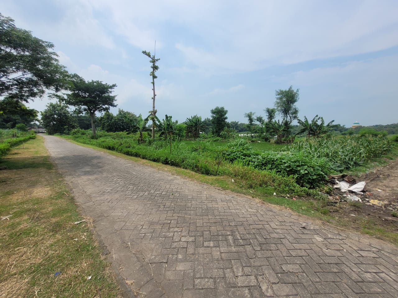 SEGERA LELANG TANAH KOSONG - Thumbnail 2