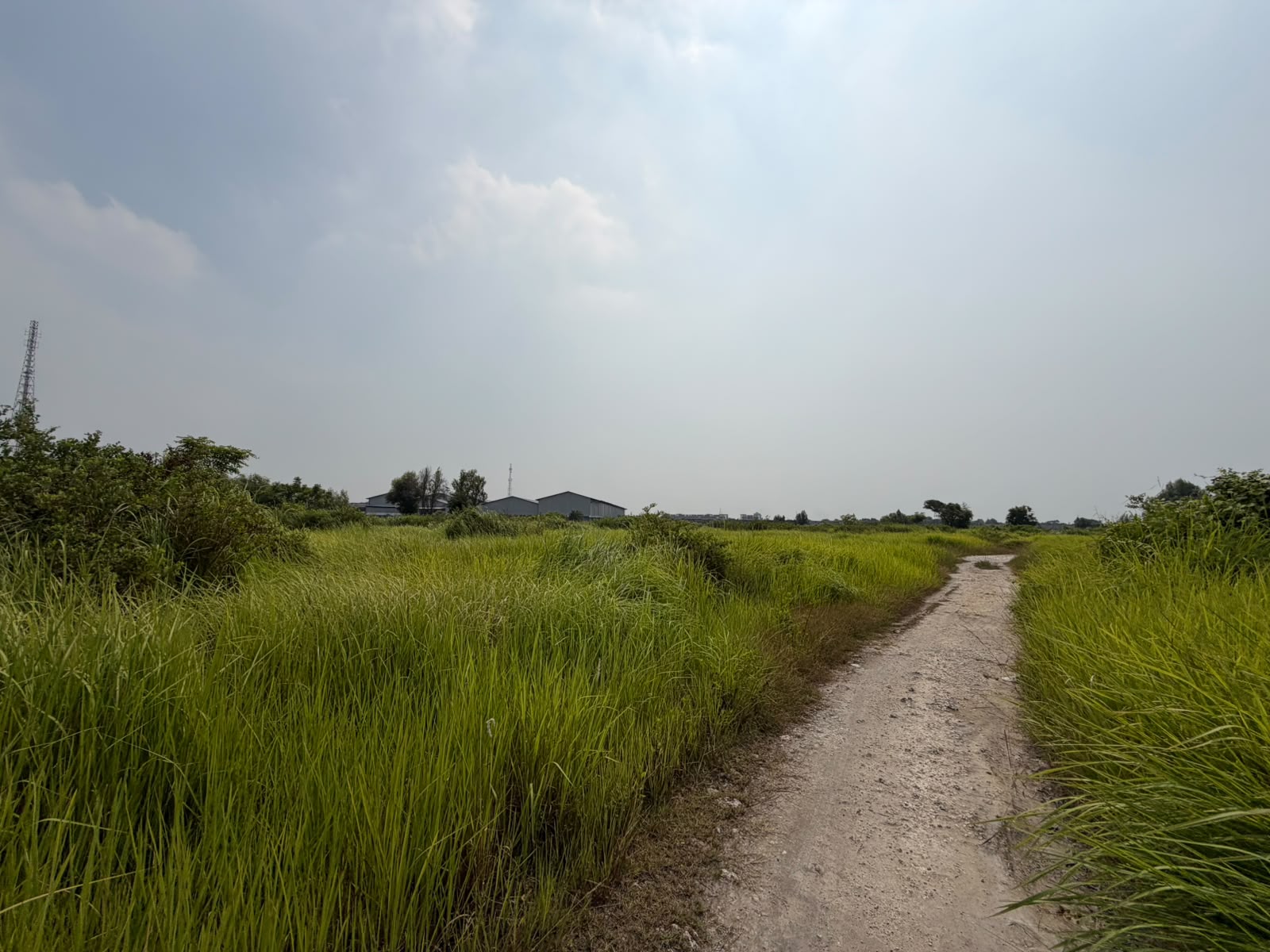 SEGERA LELANG TANAH KOSONG LUAS - Thumbnail 5